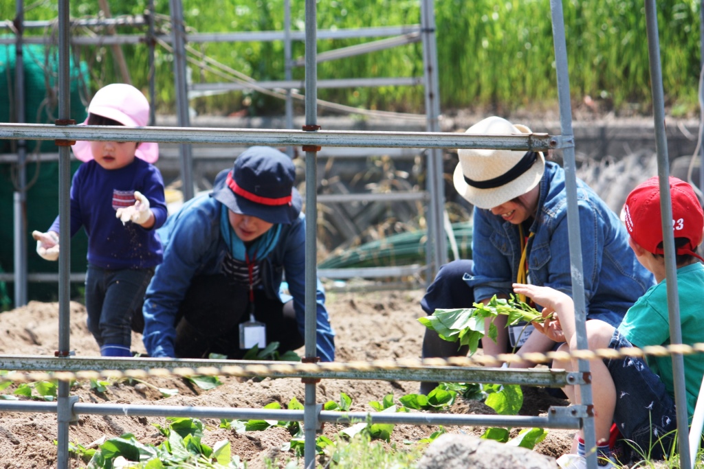 �L�b�Y�N���u�c�A��