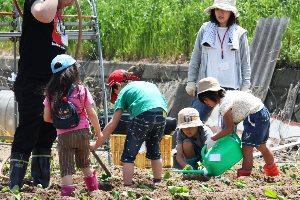 �L�b�Y�N���u�c�A��