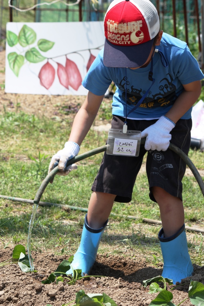 �L�b�Y�N���u�c�A��